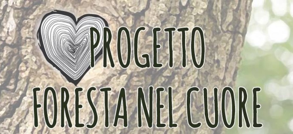 Foto tratta da Facebook Magliette e borse: il negozio Al Regalin'' devolve il ricavato della vendita per i boschi trentini